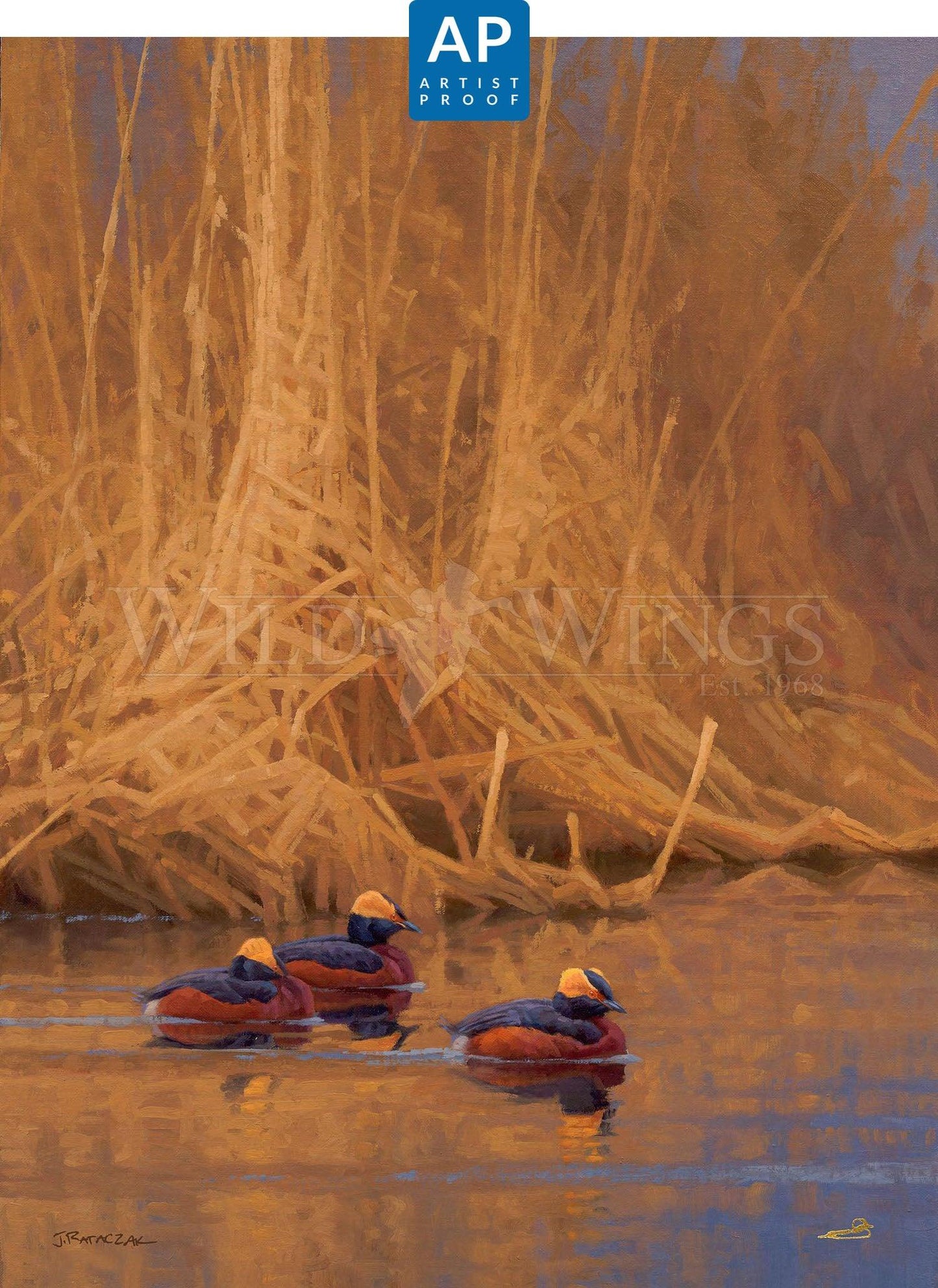 Spring Royals—Horned Grebes; Artist Proof Edition (AP)