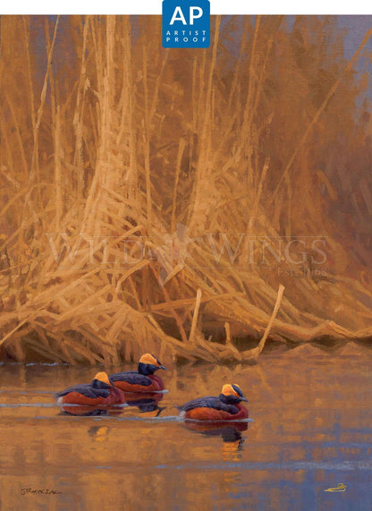 Spring Royals—Horned Grebes; Artist Proof Edition (AP)