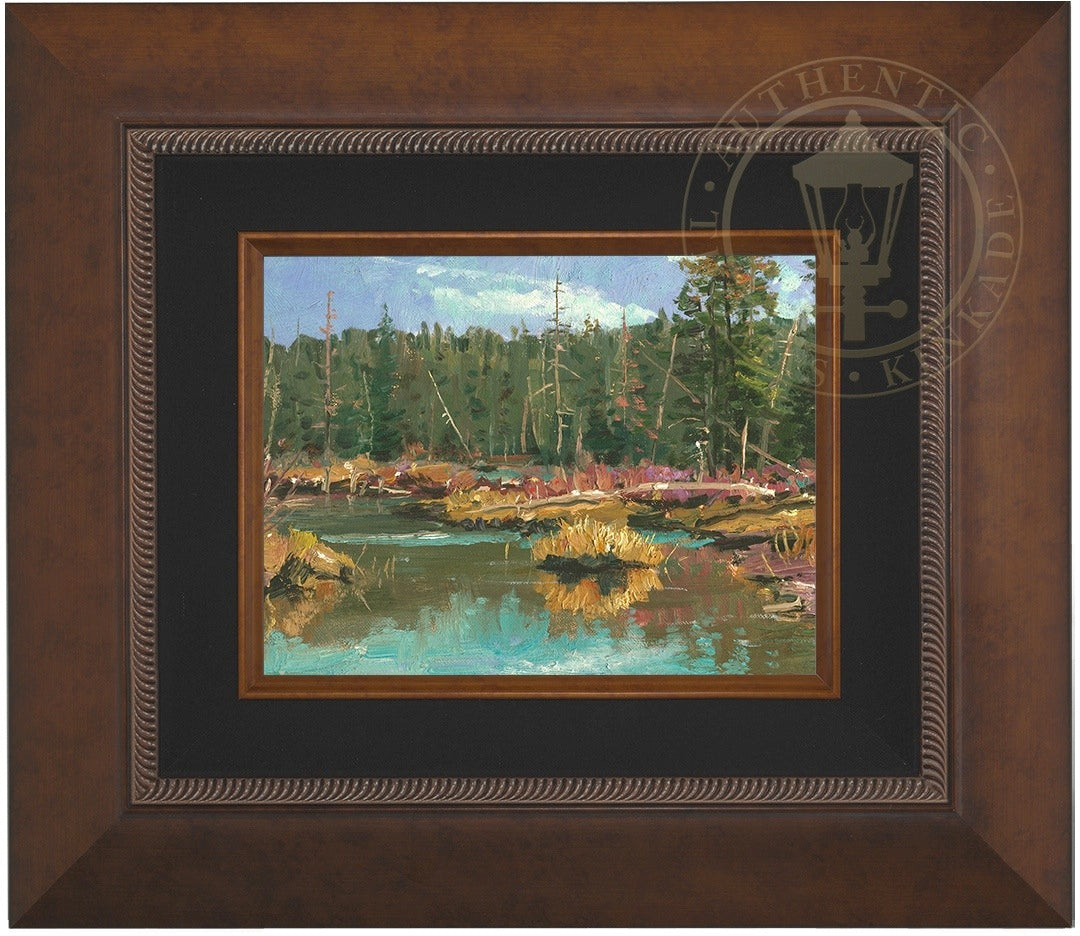 stacre_9x12_aurcop.jpg
