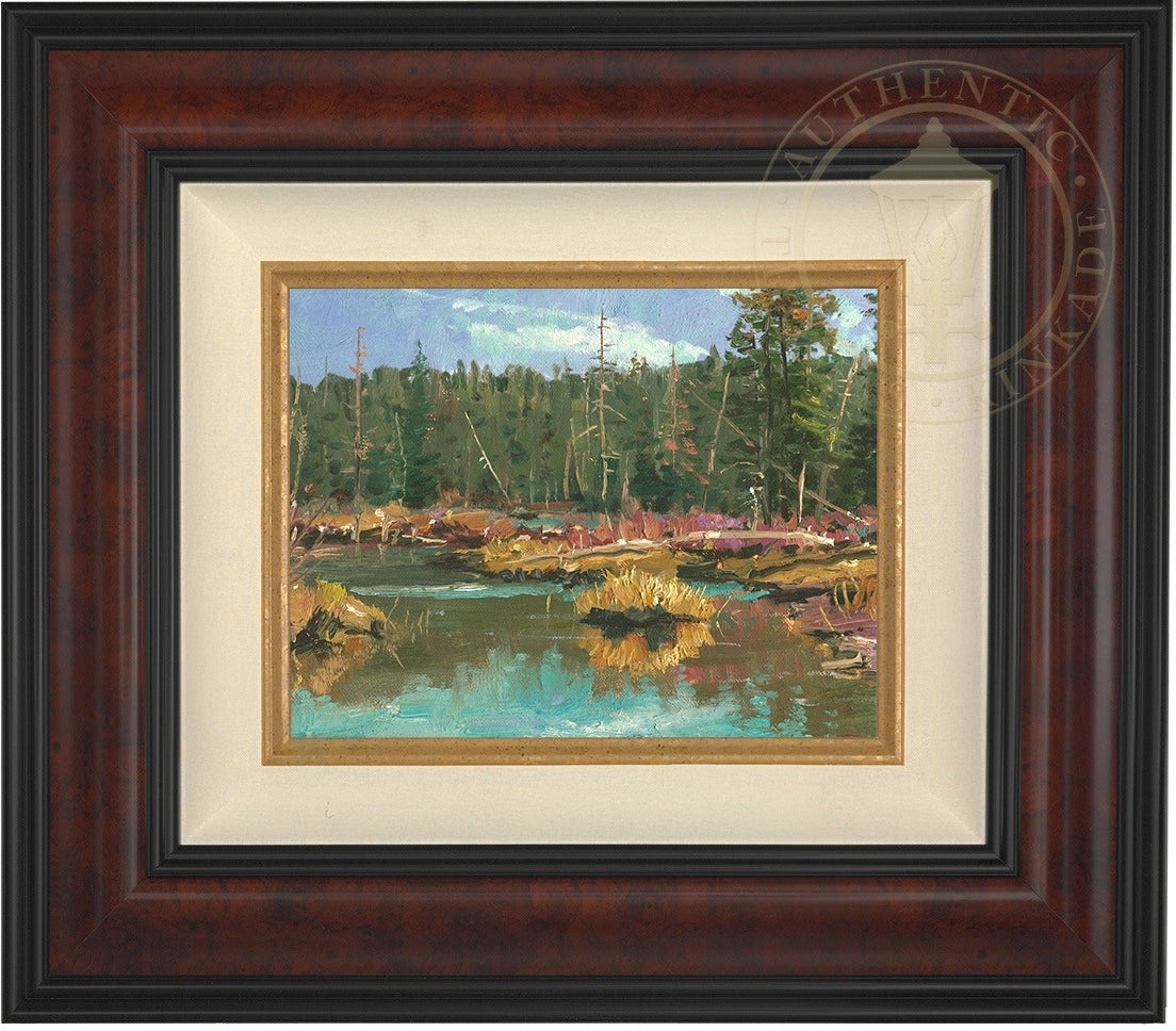 stacre_9x12_burlfr.jpg