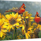 Sunny Red—Cardinals Gallery Wrapped Canvas - Wild Wings