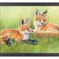 Time Out—Fox Kits Art Print - Wild Wings