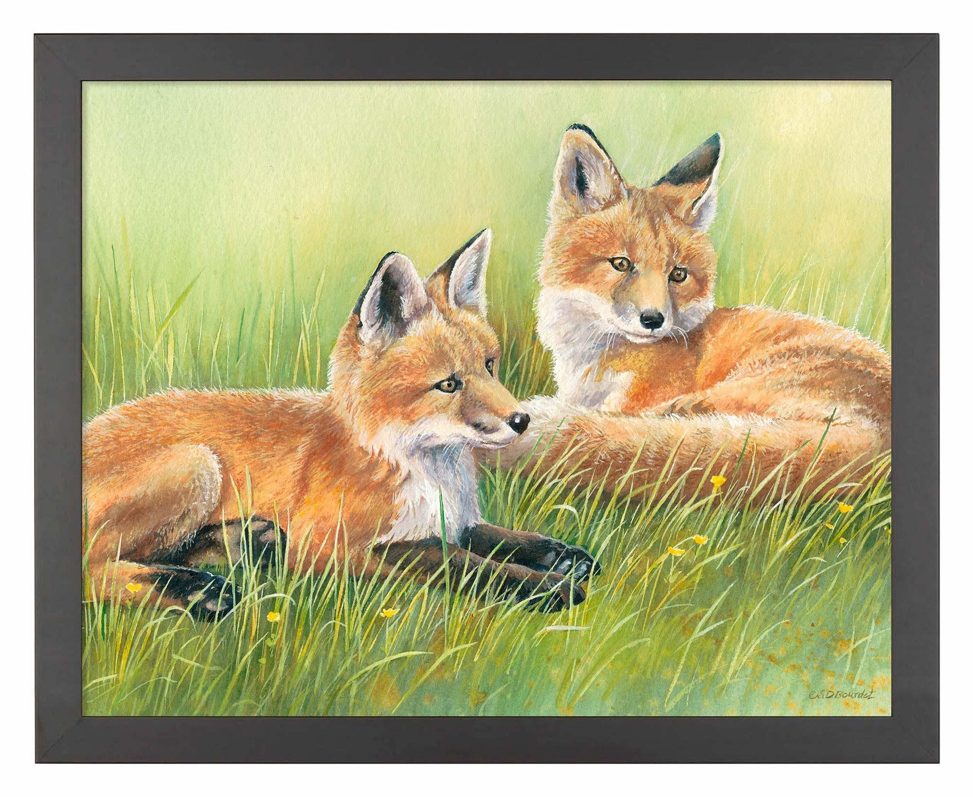 Time Out—Fox Kits Art Print - Wild Wings