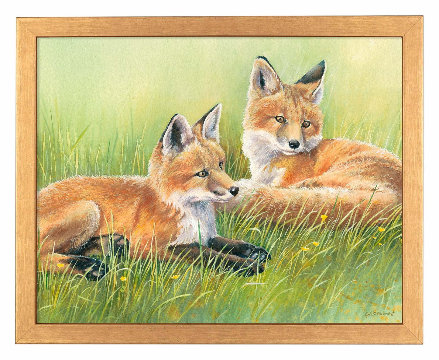 Time Out—Fox Kits