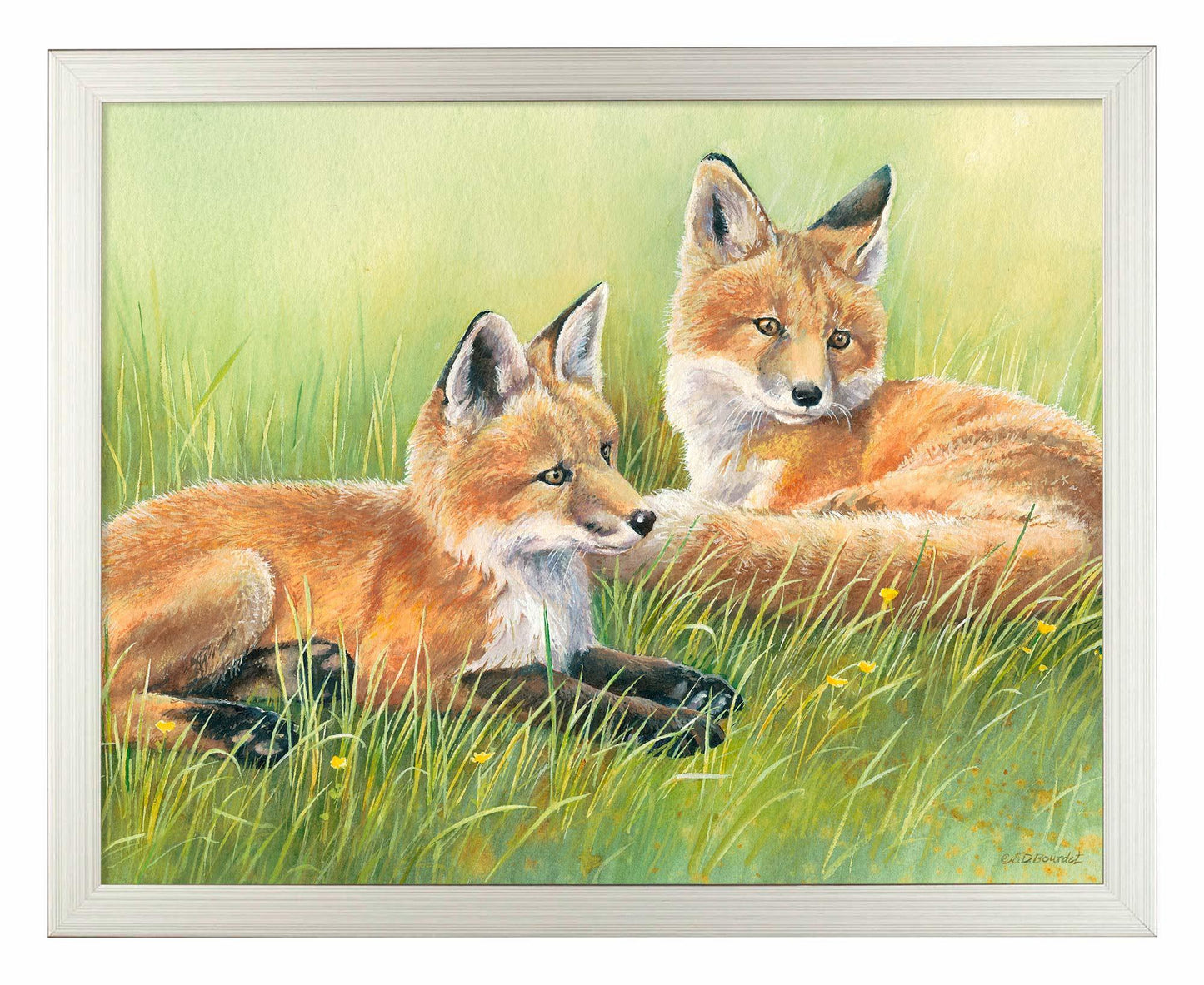 Time Out—Fox Kits