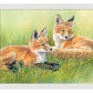 Time Out—Fox Kits Art Print - Wild Wings