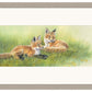 Time Out—Fox Kits - Limited Edition Paper