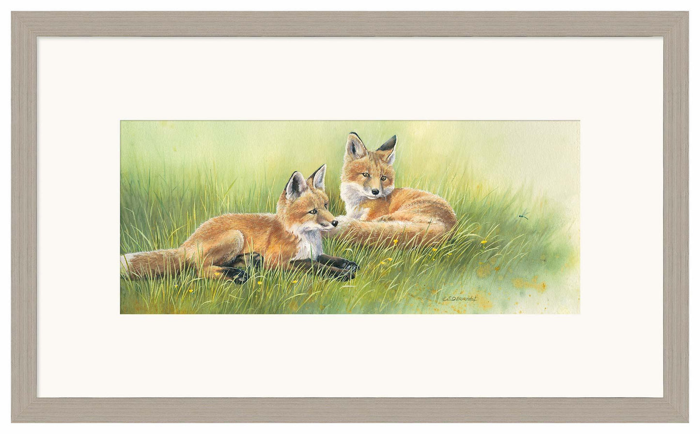 Time Out—Fox Kits - Limited Edition Paper