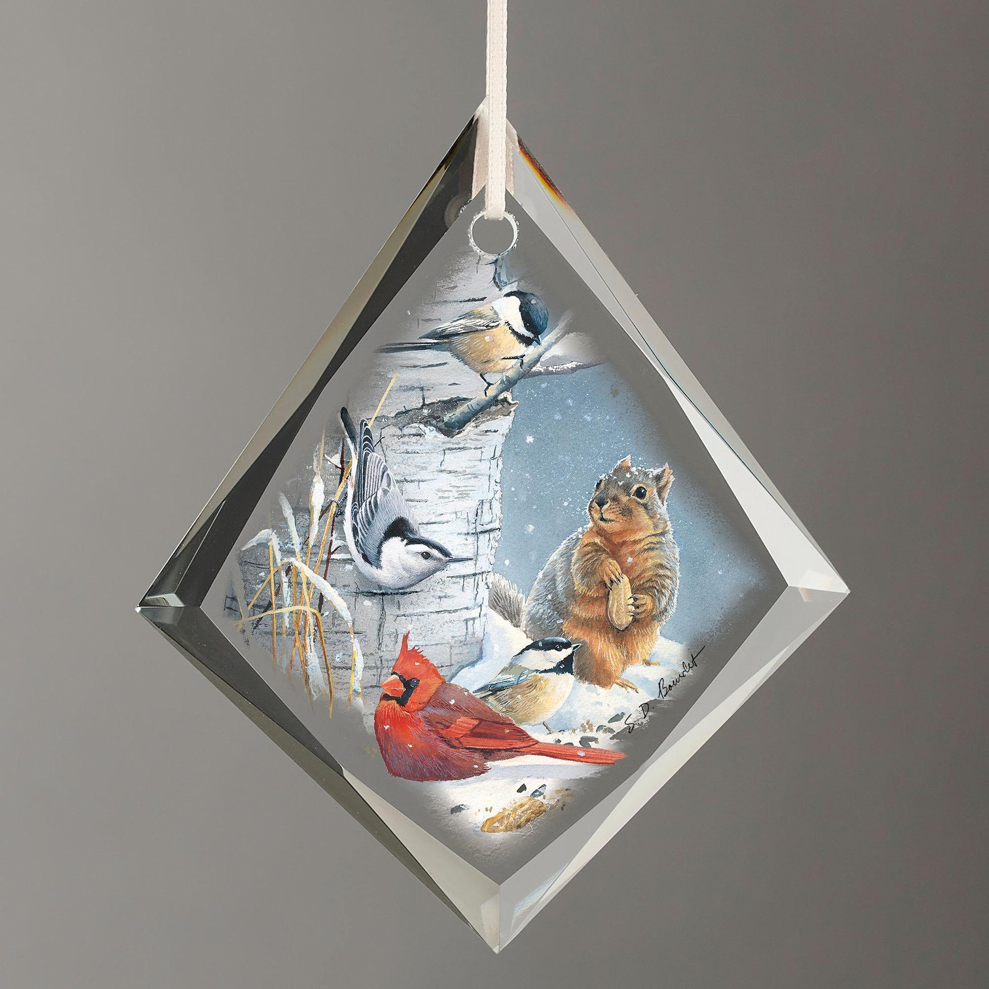 Wild Party - Birds & Squirrel Tear Drop Glass Ornament - Wild Wings