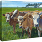Udder Curiosity—Cows Gallery Wrapped Canvas - Wild Wings