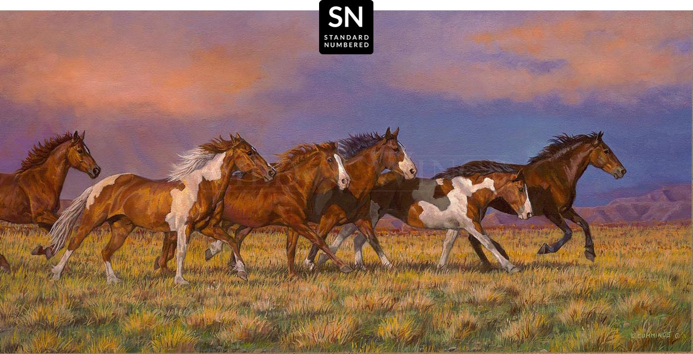 Unbroken—Horses; Standard Numbered Edition (SN)
