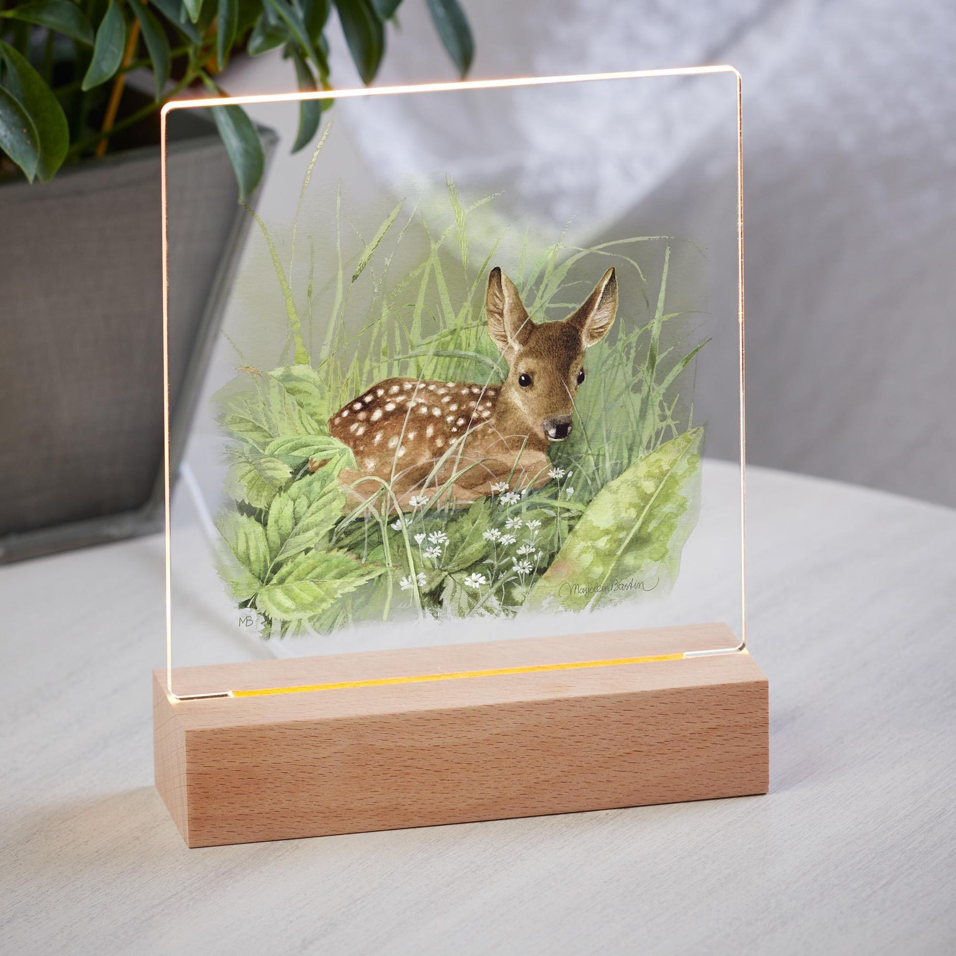 Waiting for Mom Acrylic Night Light - Wild Wings