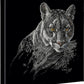 Watchful Eyes—Cougar Gallery Wrapped Canvas - Wild Wings