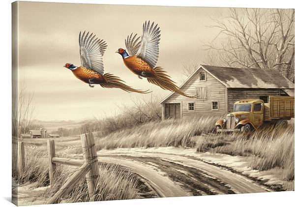 Weathered Memories—Pheasants Gallery Wrapped Canvas - Wild Wings