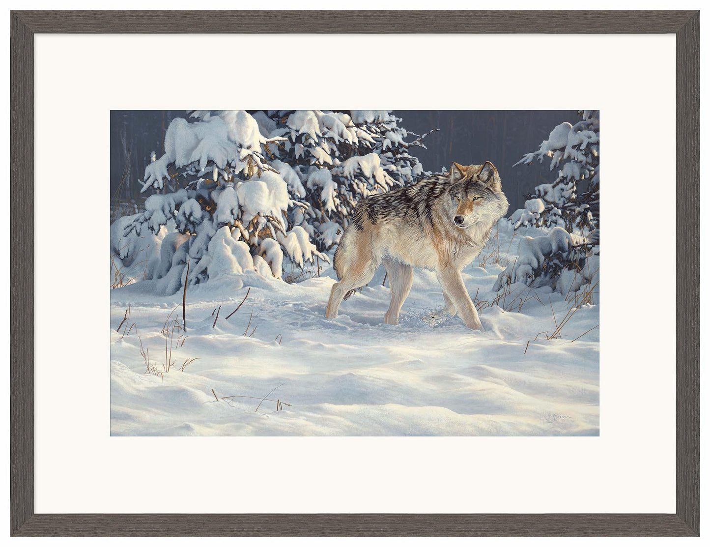 Winter Stroll — Gray Wolf Limited Edition Paper Print - Wild Wings