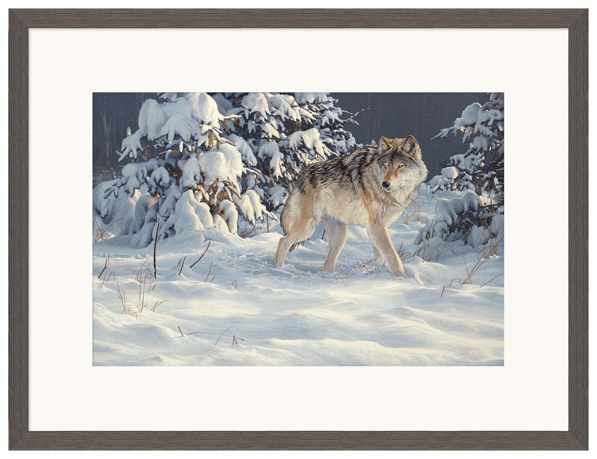 Winter Stroll — Gray Wolf Limited Edition Paper Print - Wild Wings
