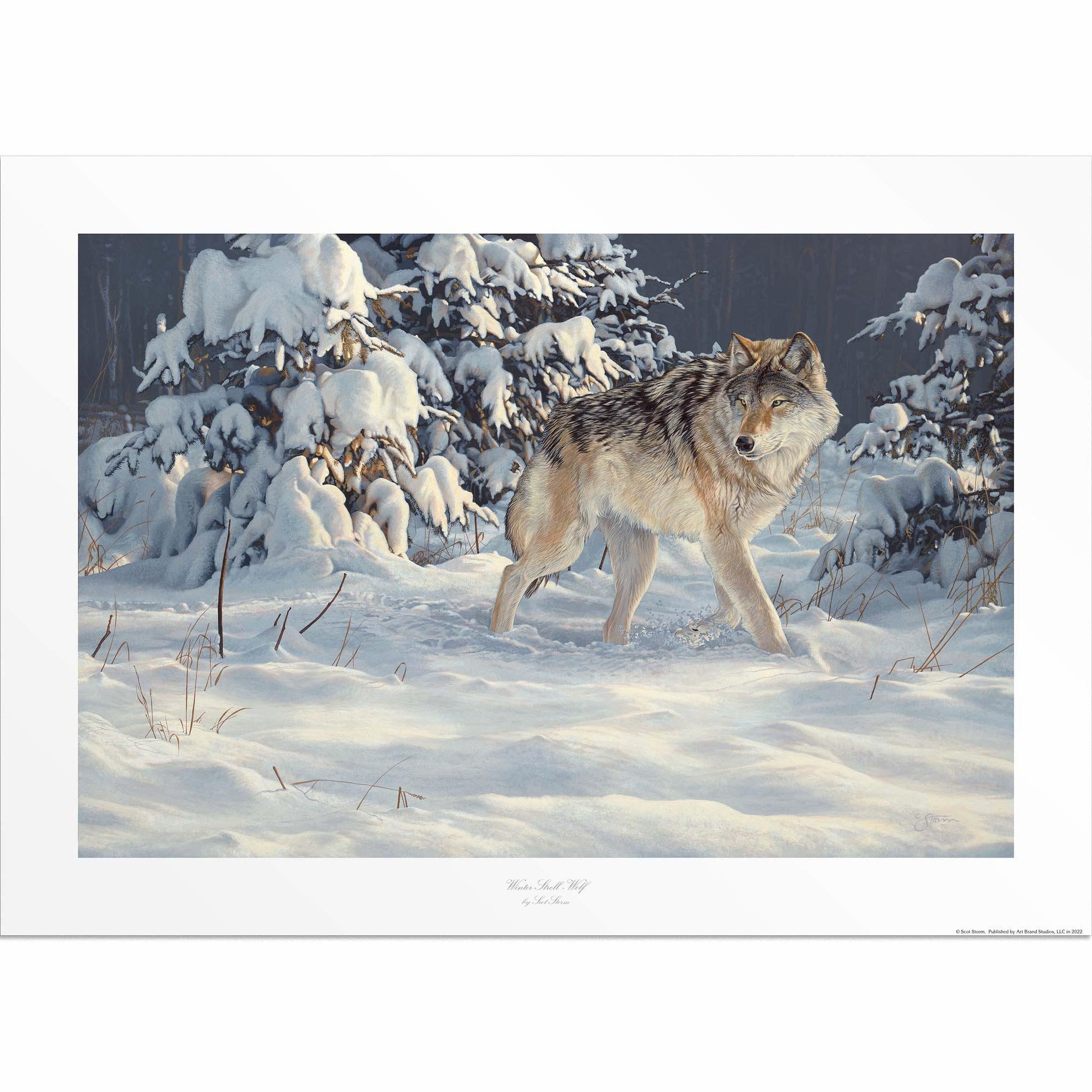 Winter Stroll — Gray Wolf Limited Edition Paper Print - Wild Wings