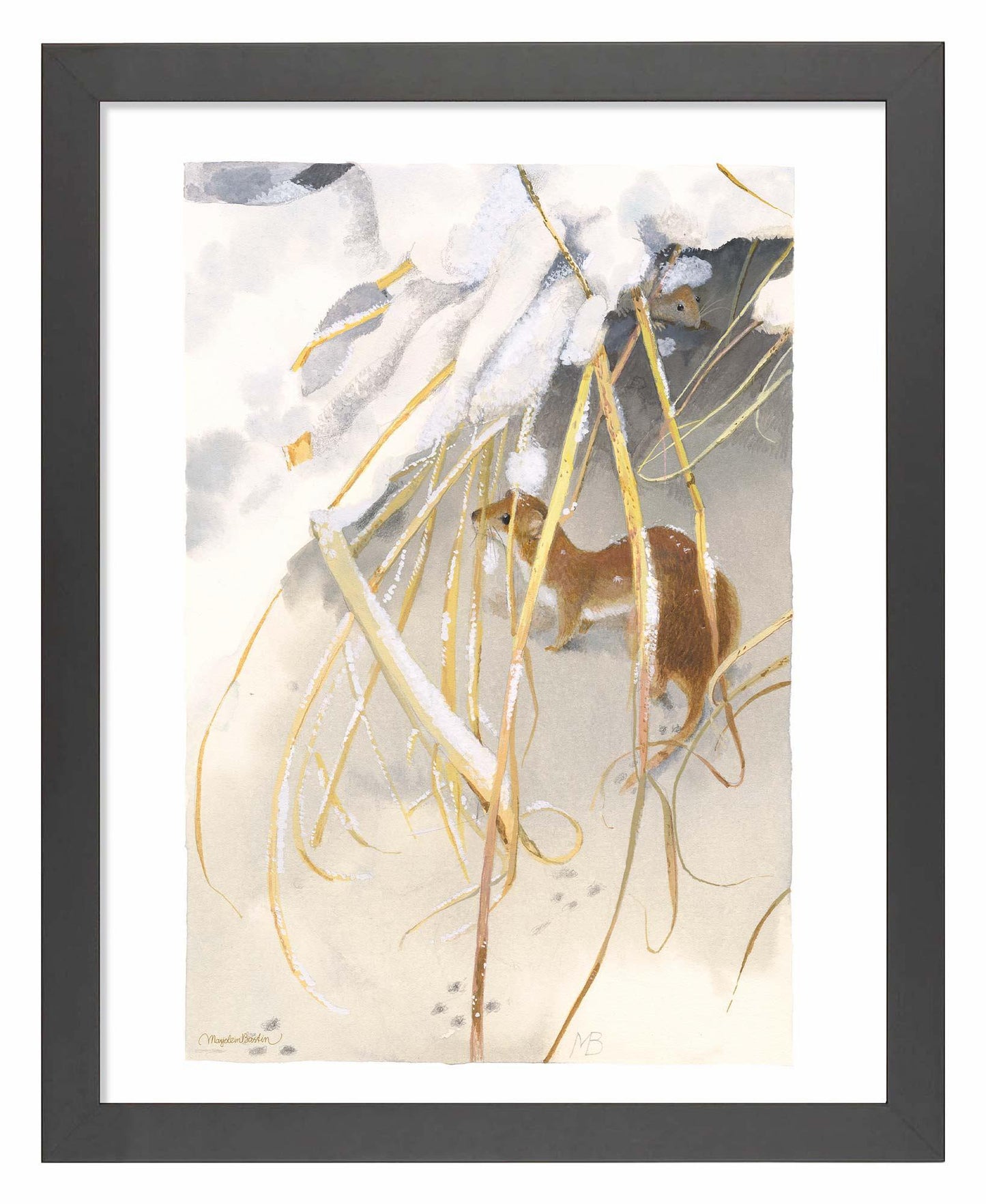 Wintry Weasel Art Print - Wild Wings
