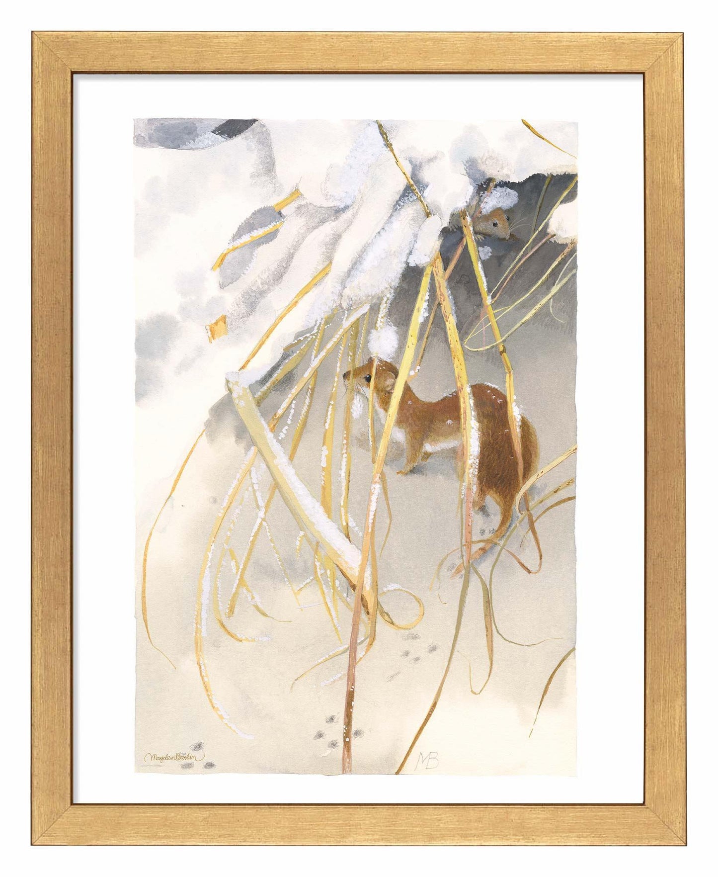 Wintry Weasel