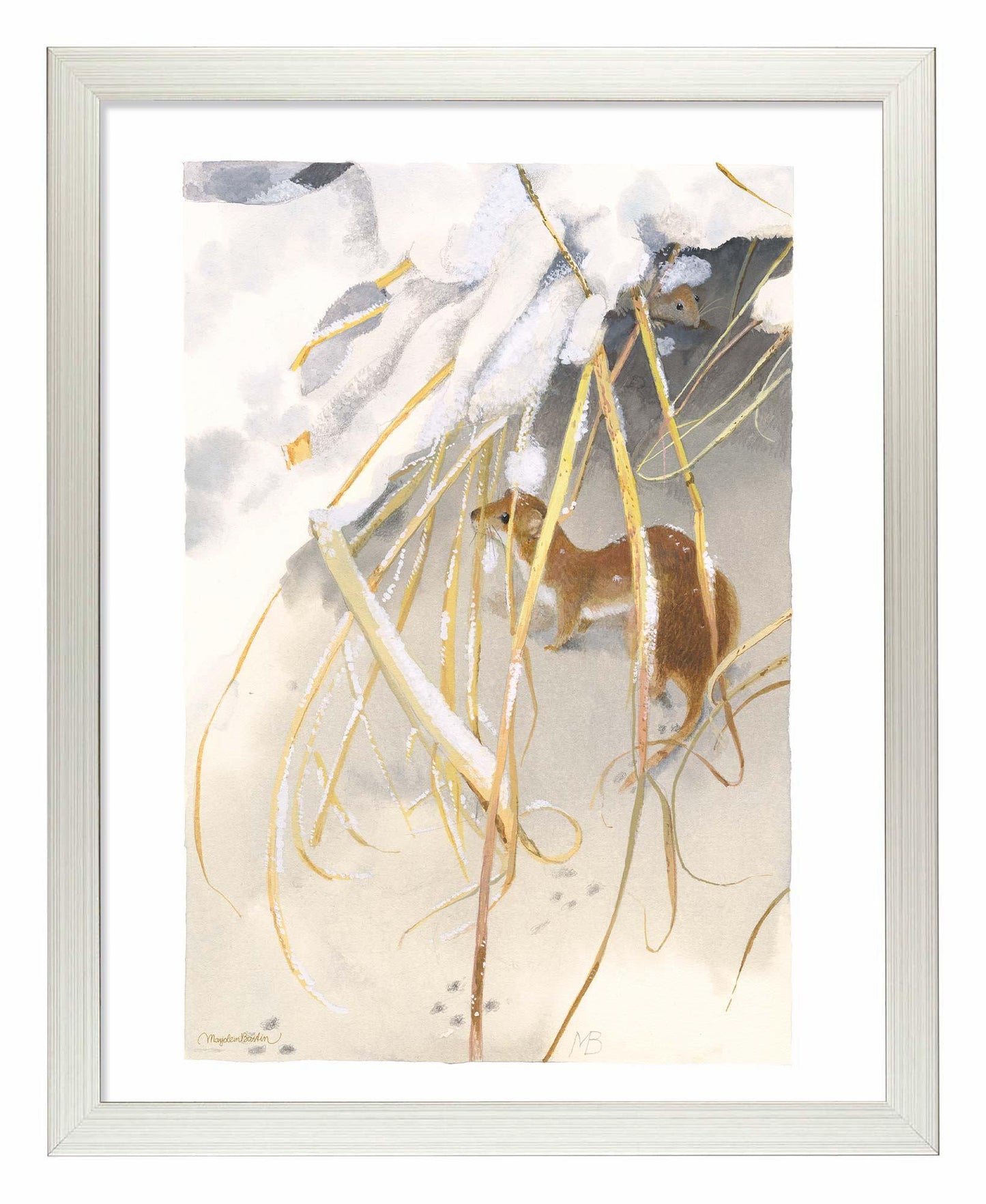 Wintry Weasel