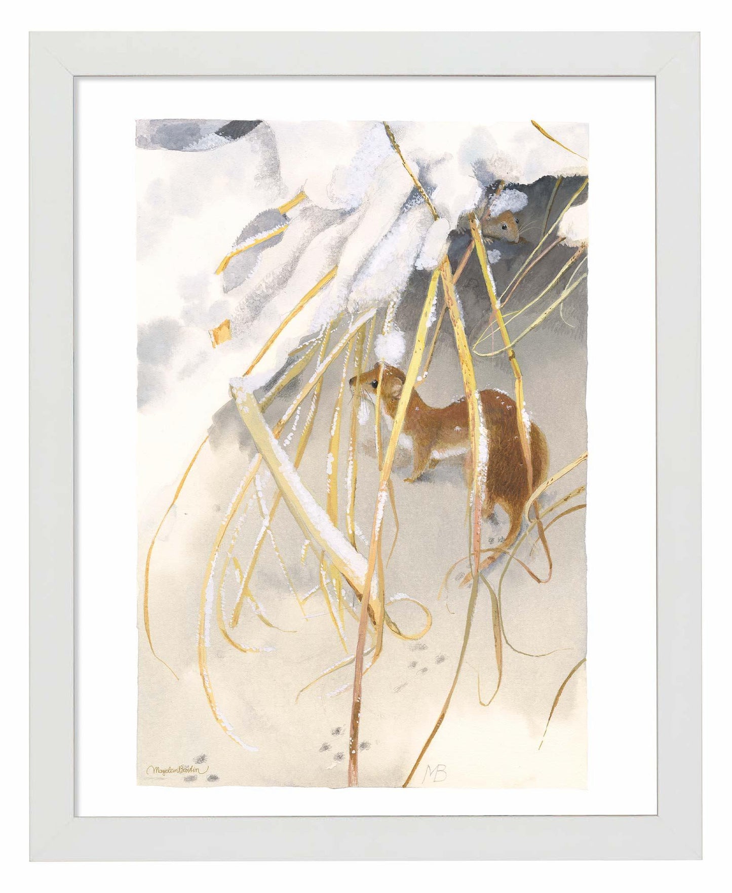 Wintry Weasel Art Print - Wild Wings
