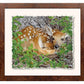 Woodland Wonder—Whitetail Fawn Deckled Edge Paper Print - Wild Wings