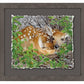 Woodland Wonder—Whitetail Fawn