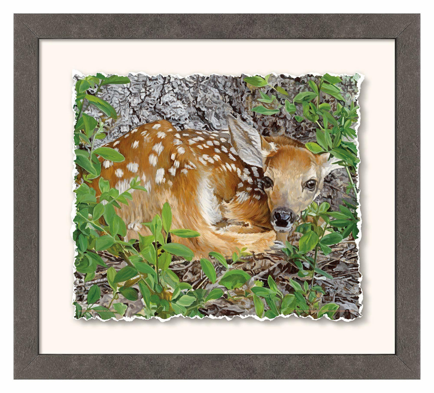 Woodland Wonder—Whitetail Fawn